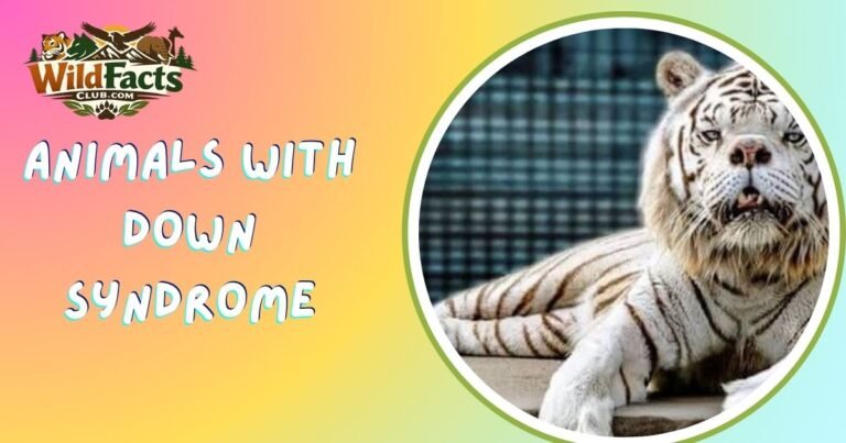 Animals With Down Syndrome
